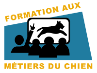 Formation en comportementaliste et éducateur canin pour chiot